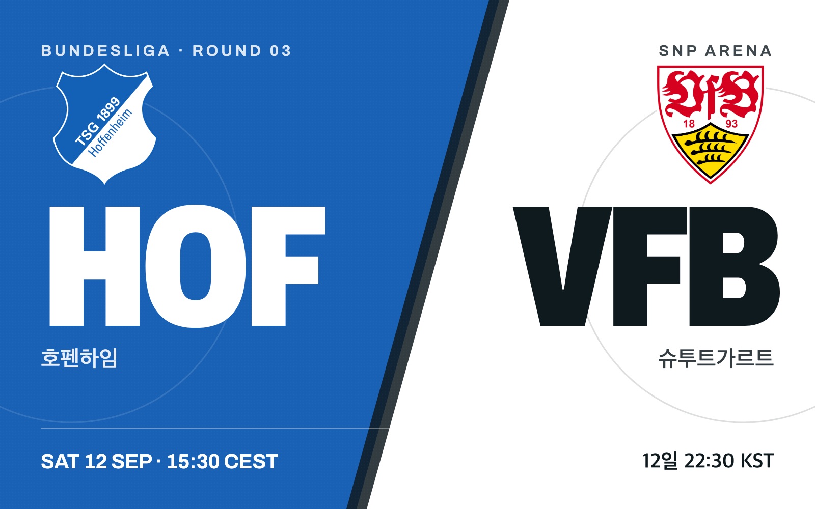 Hoffenheim vs VfB Stuttgart
