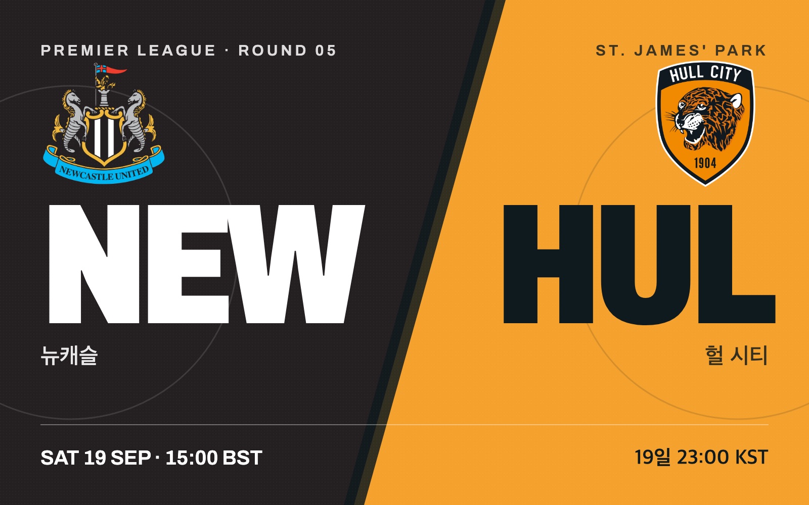Newcastle vs Hull City