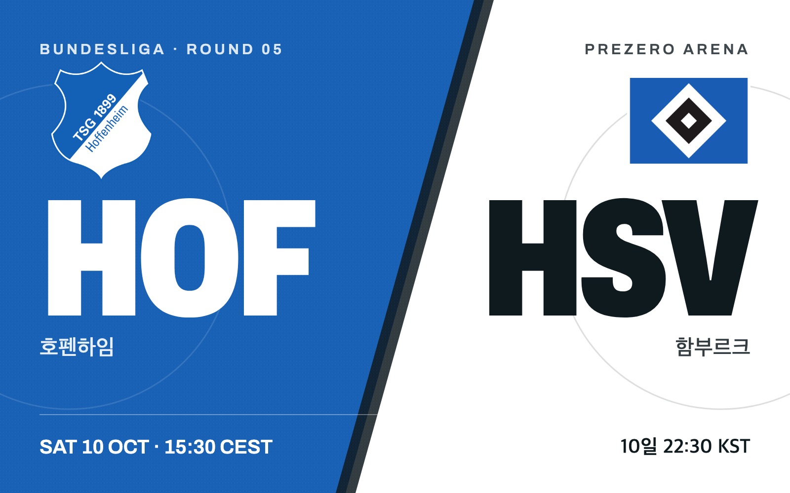 Hoffenheim vs Hamburger SV